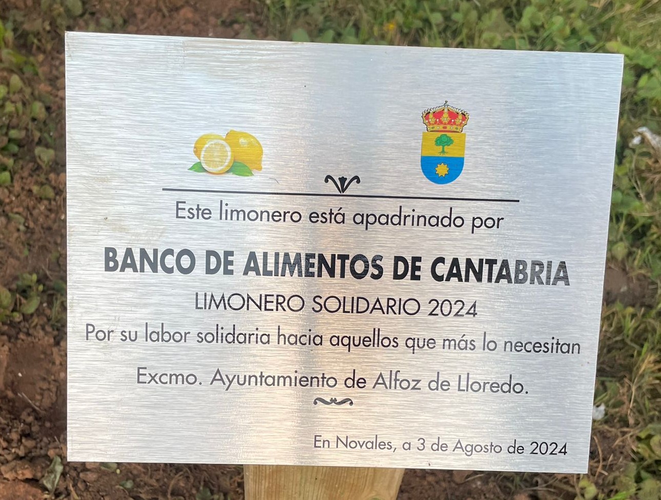 El Banco de Alimentos de Cantabria ha sido nombrado  ‘Limonero Solidario 2024’